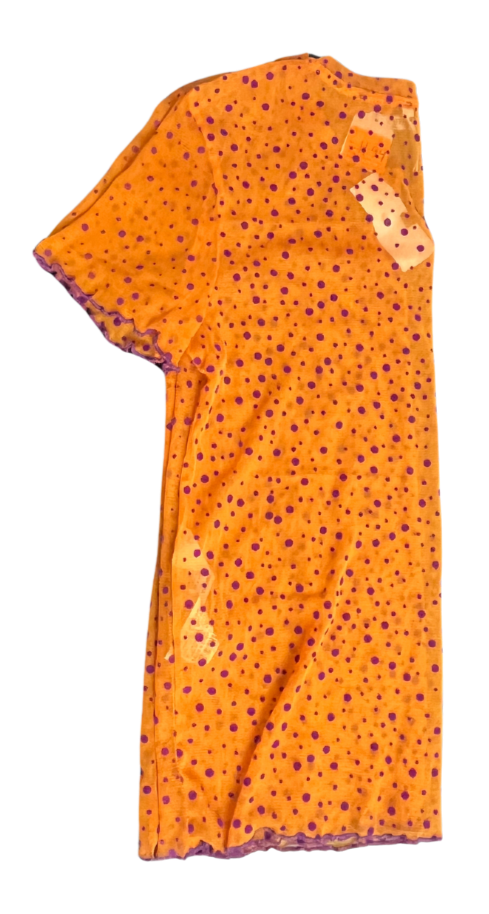 Women's Zara Sheer Top