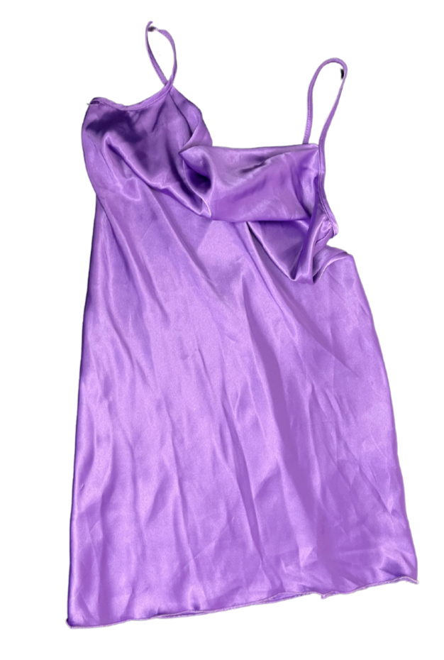 Bebe Slip Dress